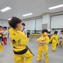 용인대 호랑이 태권도장 이미지