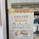 테리앤잠백이