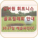 넘버원피트니스클럽 네이버블로그