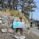 대형카 | 이천 쌀우유가 맛있는 대형 카페더엠 후기🥐☕️