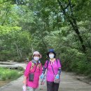 정릉15 이미지