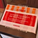 마아트 | 성수동 마리오네 피자 오픈런 실패기🍕 + 마아트 커피 브루어스 후기 ☕