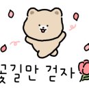 루어스플라워 네이버블로그