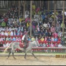 둔전초등학교 이미지