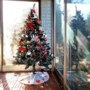 거슬러 오른집 이미지