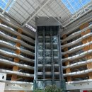 초원당구카페 | 제주도 5성급 호텔 추천_제주도 해비치 호텔 (서귀포 신혼여행, 호캉스, 해비치호텔 조식 내돈내산 후기)