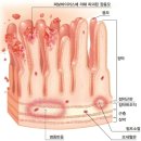 로얄에이알씨(주) 이미지