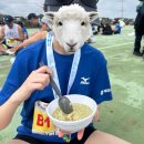 제주국제합창축제 | 2025 제29회 제주국제관광마라톤축제 10km 완주후기
