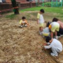 봉래초등학교병설유치원 네이버블로그