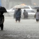 말실수의 달인 안상수의 명언, “추석연휴 폭우, 4대강 사업 중요성 입증” 이미지