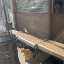 복산동-17 | 울산 중구 복산동 맛집 추천 '복산돈까스' 주말 웨이팅 후기