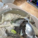 능이야산본점 | [산본맛집] 능이야산본점 능이백숙에서 점심회식하고 왔어요! 산본 백숙 맛집