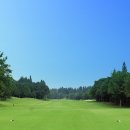 노송골프 이미지