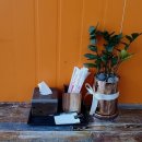 미뚱김밥 이미지