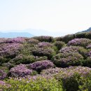 2014.05.07-황매산 철쭉 축제장에서 항공촬영(바람이 워낙세서 무인헬기 추락할뻔했어요) 이미지