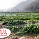 새실공인중개사사무소 이미지