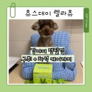 더덴탈 | 강아지 덴탈껌 츄스데이 렐라츄 구취 케어 후기