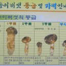 송이토산품