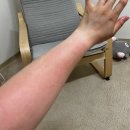 정이품송캠핑장 | [블챌] 고릴라캠핑 in 속리산 - 반려동물가능 내돈내산 솔직후기