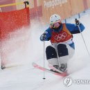 모굴 연합뉴스