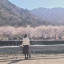 삼척엘림캠핑장