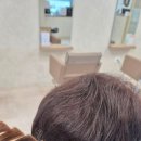 프리마트 | 새치염색 잘하는 수택동미용실 에이바헤어 장자호수공원역점