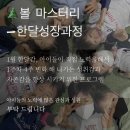 스노우파인축구클럽대구현풍점
