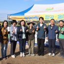 도창초등학교 이미지