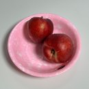 천재카센타 | 쪄죽이다가 쏟아부었다가 다시 쪄죽이다가 왔다갔다의 치럴