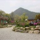 칠곡황학산휴양림 Daum카페
