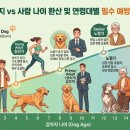 동탄호수동물병원 | 동탄호수동물병원이 제안하는 반려견 건강 로드맵: 나이별·견종별 맞춤 검진의 모든 것