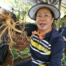 연탄3리 이미지