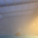 드림바디 휘트니스 만년점 | 괴산 자연드림파크│루프탑 수영장·찜질방·영화관 리뷰