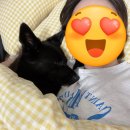 꾸꾸마당