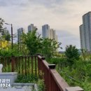 부영공원(월산근린공원) 이미지