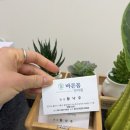 바른자세안마원 | 용인 영덕동 체형교정 통증관리 지압마사지 1:1 맞춤케어 바른몸안마원 방문후기