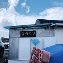 동주길 | 대부도 당일치기 여행 코스 동주염전