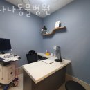 바나나 동물병원 이미지