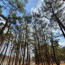 산동네가든 이미지