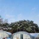 맑은샘농장 이미지