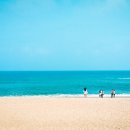 노마드인 강릉 이미지