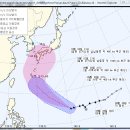 민경이네 다육 이미지