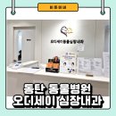 오디세이 동물심장내과 | 동탄 동물병원 오디세이심장내과 강아지심장병 검진 받은 후기