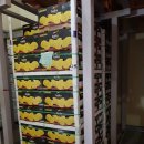 (주)골드레몬 이미지