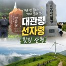 도사곡리 임도길 간이화장실 | [평창 대관령] 선자령 등산코스 완만한 트레킹 후기 (주차·소요시간·반려견 동반 팁)