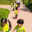 다연유치원 이미지