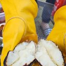 금수문화공원야영장(4) 이미지