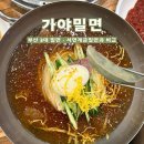 서면 가야밀면, 부산 3대 밀면 맛집 솔직 후기 (vs 개금밀면 비교)