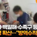 [일반] 72200% 증가한 백일해! 딥스악마의 켐트살포와 전자기파 조사때문이지 이미지