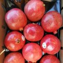 유림청과 이미지